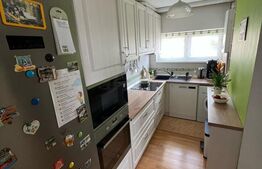 Apartament de vanzare cu 2 camere, 47 mp, zona Tudor