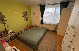 Apartament de vanzare cu 2 camere, 47 mp, zona Tudor