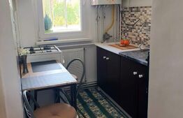 Apartament de vanzare cu o camera, zona Tudor 