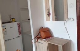 Apartament de vanzare cu o camera, zona Tudor 