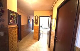 Apartament de vanzare, cu 4 camere, 68 mp, zona Dambu Pietros