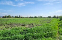 Teren intravilan, de vanzare, 5000 mp, zona Combinat