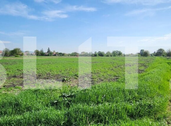 Teren de vânzare Mureseni - 169883TV | BLITZ Târgu Mureș | Poza1