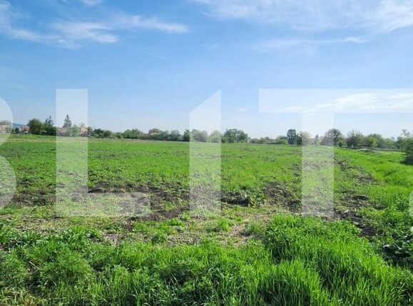 Teren de vânzare Mureseni - 169883TV | BLITZ Târgu Mureș | Poza2