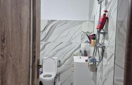 Casa noua cu 4 camere de vanzare in Ernei, 14 ari teren!