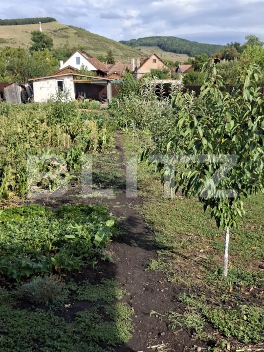 Casa de vânzare 4 camere Ernei - 170876CV | BLITZ Târgu Mureș | Poza17