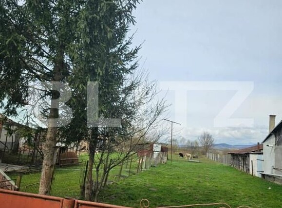 Casa de vânzare 3 camere Dedrad - 170978CV | BLITZ Târgu Mureș | Poza7