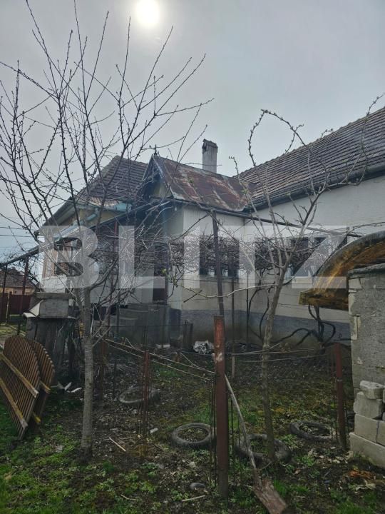 Casa de vânzare 3 camere Dedrad - 170978CV | BLITZ Târgu Mureș | Poza6