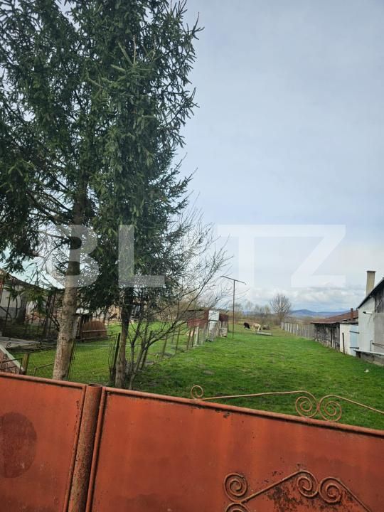 Casa de vânzare 3 camere Dedrad - 170978CV | BLITZ Târgu Mureș | Poza7
