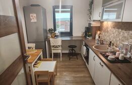 Apartament de vanzare, cu 3 camere, 71 mp, zona Unirii