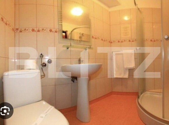 Spațiu comercial de vânzare Sântana de Mureș - 171047SVC | BLITZ Târgu Mureș | Poza8