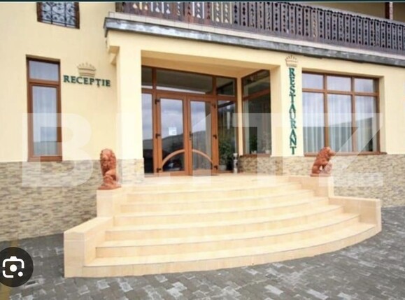 Spațiu comercial de vânzare Sântana de Mureș - 171047SVC | BLITZ Târgu Mureș | Poza3