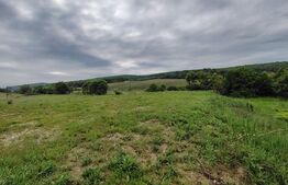 Teren 10 ari in Livezeni la str. Lunga