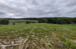 Teren 10 ari in Livezeni la str. Lunga