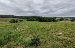 Teren 10 ari in Livezeni la str. Lunga