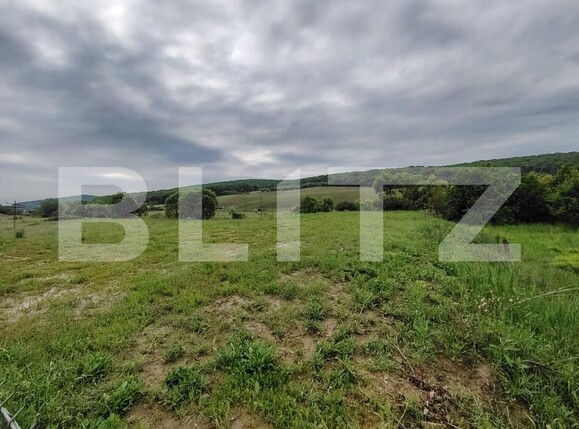 Teren de vânzare Livezeni - 171115TV | BLITZ Târgu Mureș | Poza3