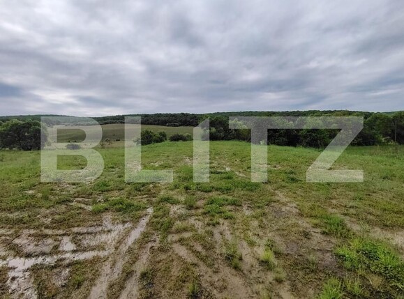 Teren de vânzare Livezeni - 171115TV | BLITZ Târgu Mureș | Poza2