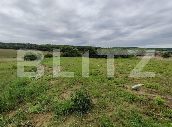 Teren de vânzare Livezeni - 171115TV | BLITZ Târgu Mureș | Poza1