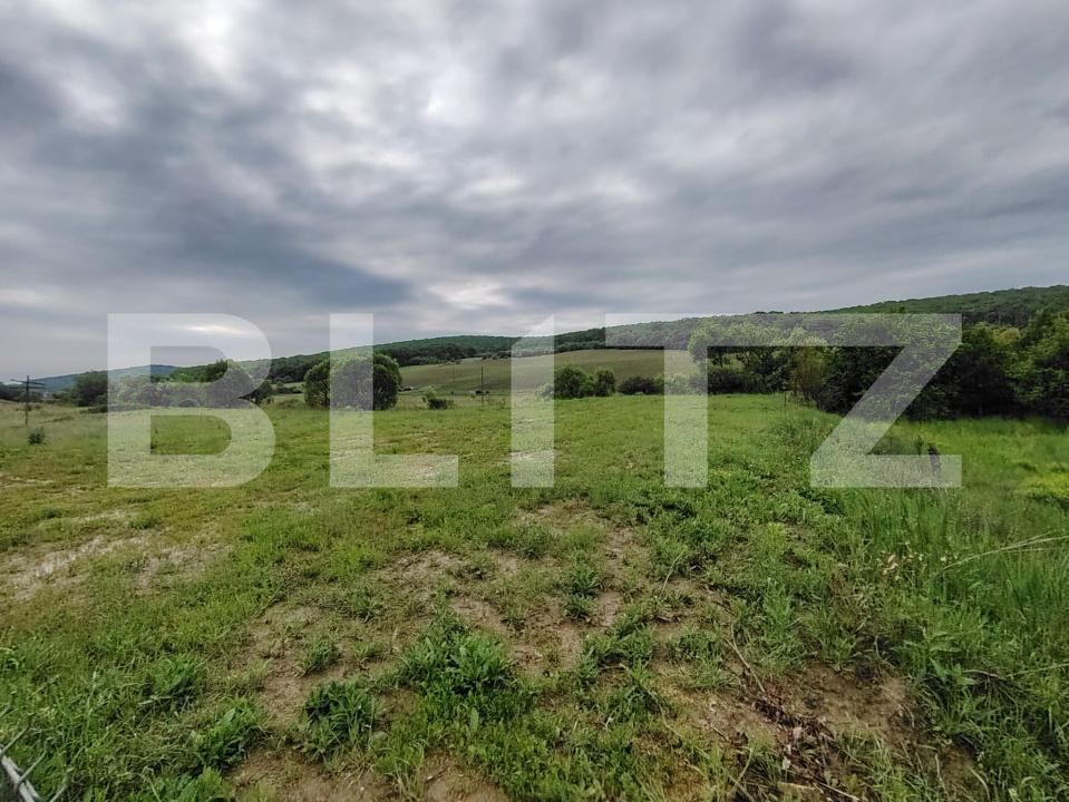 Teren de vânzare Livezeni - 171115TV | BLITZ Târgu Mureș | Poza3