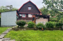 Casă de lemn cu teren generos – 1500 mp în Cerghid, liniște și natură