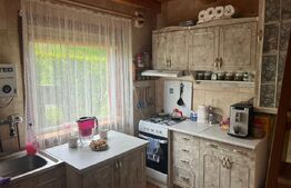 Casă de lemn cu teren generos – 1500 mp în Cerghid, liniște și natură