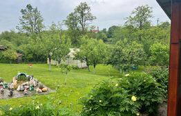 Casa de vânzare 4 camere Petelea - 187712CV | BLITZ Târgu Mureș | Poza3