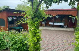 Casă de lemn cu teren generos – 1500 mp în Cerghid, liniște și natură