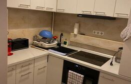 Garsonieră de vanzare,zona UMFST 