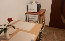Apartament de inchiriat, cu 2 camere, 54 mp, zona Aleea Carpati