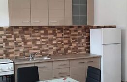 Apartament de vanzare, cu 2 camere, 60 mp, zona Unirii