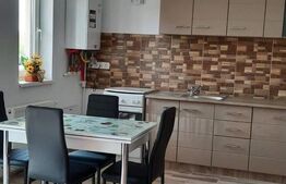 Apartament de vanzare, cu 2 camere, 60 mp, zona Unirii