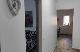 Apartament de vanzare, cu 2 camere, 60 mp, zona Unirii