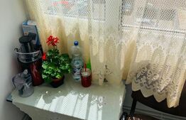 Apartament de vanzare, cu 1 cameră, 29 mp, zona Tudor