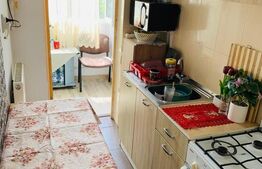 Apartament de vanzare, cu 1 cameră, 29 mp, zona Tudor