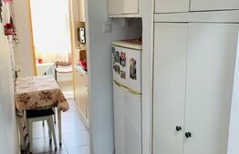 Apartament de vanzare, cu 1 cameră, 29 mp, zona Tudor