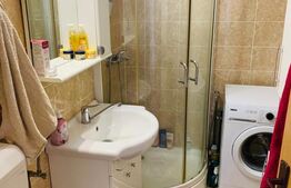 Apartament de vanzare, cu 1 cameră, 29 mp, zona Tudor