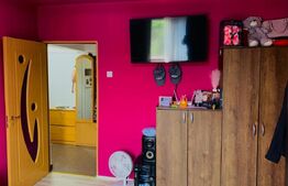 Apartament de vanzare, cu 1 cameră, 29 mp, zona Tudor