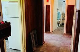 Apartament de vanzare, cu 2 camere, 47 mp, renovabil, zona Libertății