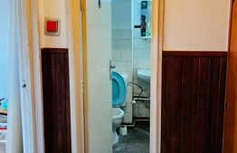 Apartament de vanzare, cu 2 camere, 47 mp, renovabil, zona Libertății