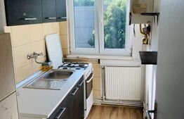 Apartament de vanzare, cu două camere, 37 mp, zona Dâmbu Pietros