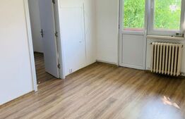 Apartament de vanzare, cu două camere, 37 mp, zona Dâmbu Pietros
