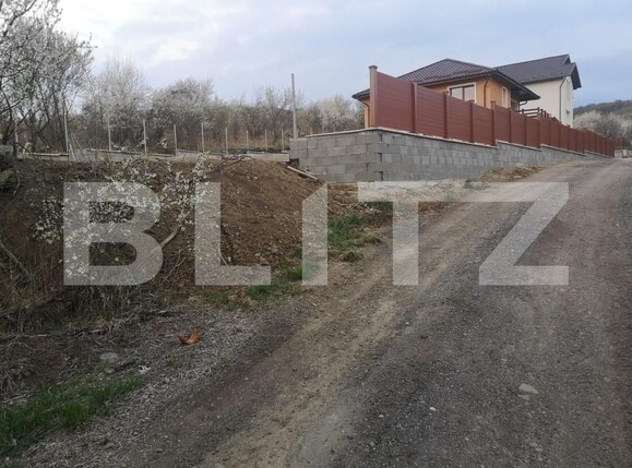 Teren de vânzare Livezeni - 172716TV | BLITZ Târgu Mureș | Poza1