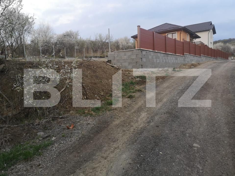 Teren de vânzare Livezeni - 172716TV | BLITZ Târgu Mureș | Poza1
