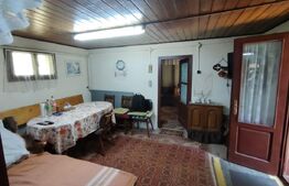 Cabana 5 camere Salard,zona linistita