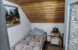 Cabana 5 camere Salard