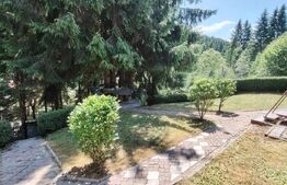 Cabana 5 camere Salard