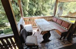 Cabana 5 camere Salard