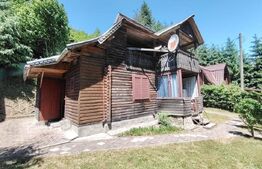 Cabana 5 camere Salard