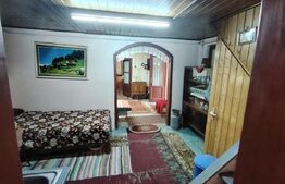 Cabana 5 camere Salard