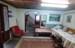 Cabana 5 camere Salard,zona linistita